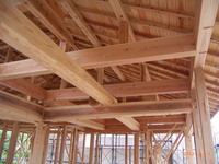 ⑬　野物、梁、桁と化粧で天井に出てくる部分です。よく計算して組んであります。普通は梁は屋根裏にあるのですが白木建設は敷き梁方式により梁を下に持ってきて天井を水平に組んで仕上ます。